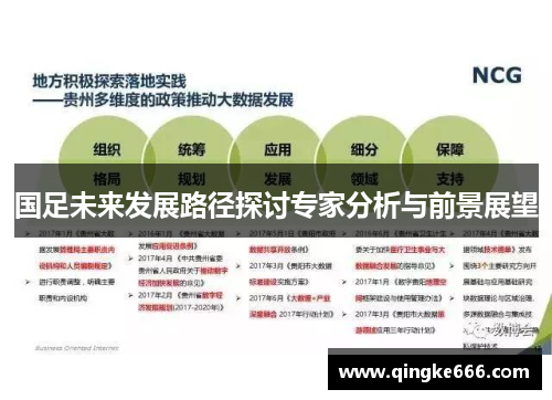 国足未来发展路径探讨专家分析与前景展望