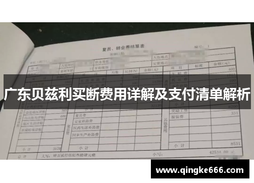 广东贝兹利买断费用详解及支付清单解析